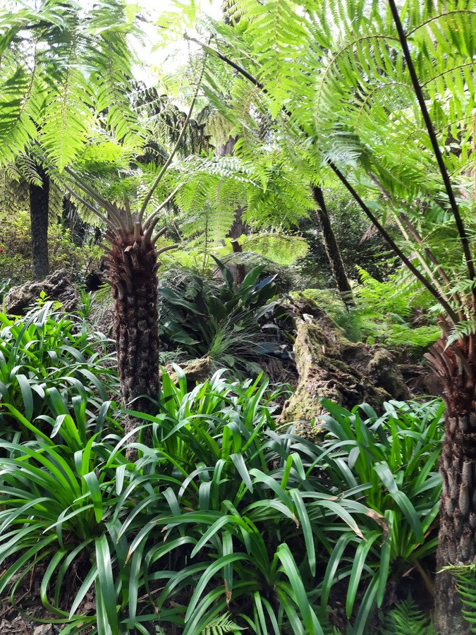 Photo - 15 Banksia Road, Springbrook QLD 4213 - Image 17