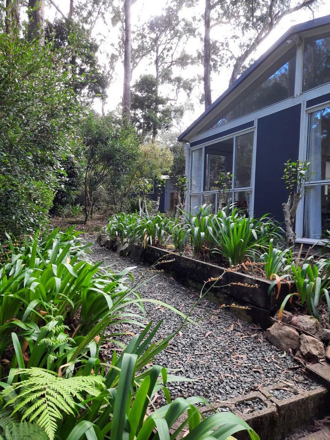 Photo - 15 Banksia Road, Springbrook QLD 4213 - Image 18