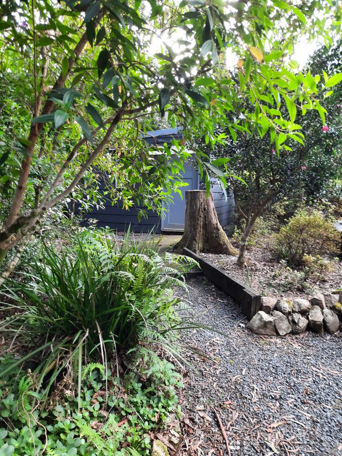 Photo - 15 Banksia Road, Springbrook QLD 4213 - Image 25