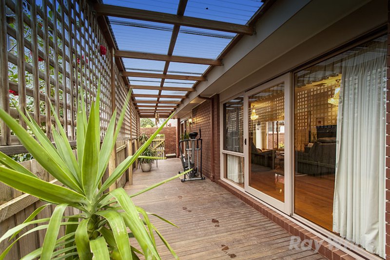 Photo - 15 Baranbali Drive, Vermont South VIC 3133 - Image 11