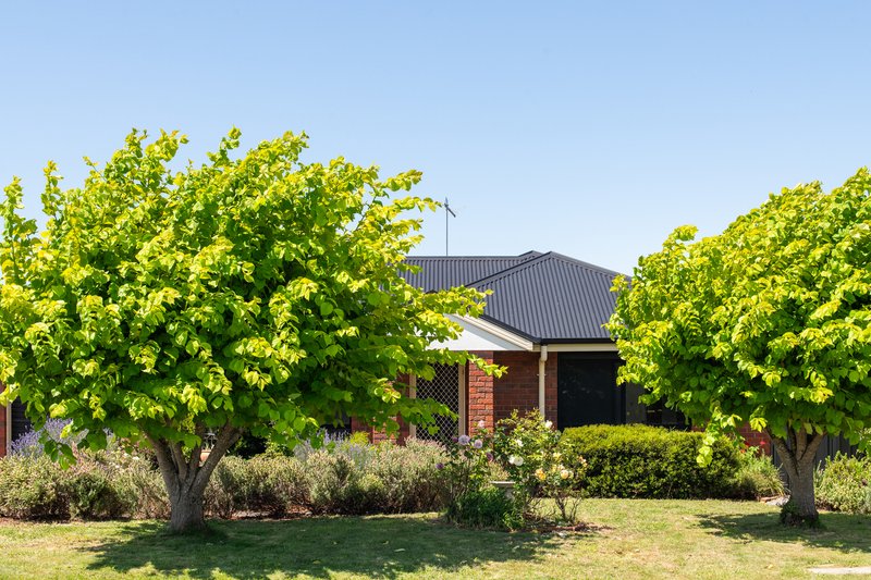 15 Bethune Place, Newnham TAS 7248