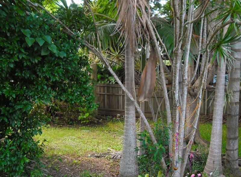 Photo - 15 Blackall Range Road, Woombye QLD 4559 - Image 3