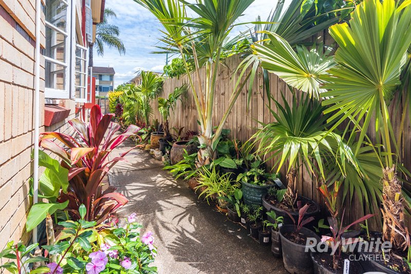 Photo - 1/5 Bonney Avenue, Clayfield QLD 4011 - Image 12