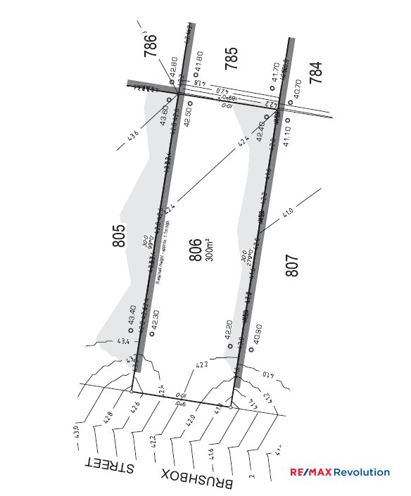 Photo - 15 Brushbox Street, Bahrs Scrub QLD 4207 - Image 7