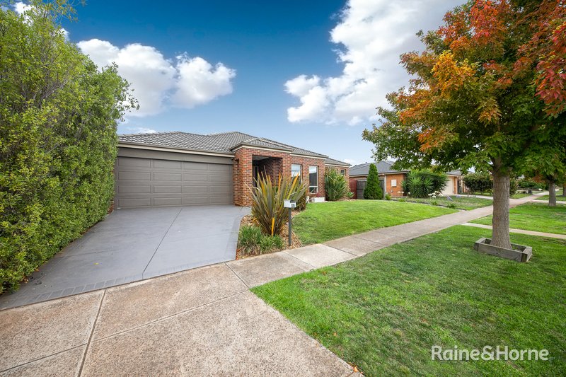 Photo - 15 Cover Drive, Sunbury VIC 3429 - Image 22