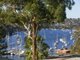Photo - 15 Cowdroy Avenue, Cammeray NSW 2062 - Image 11