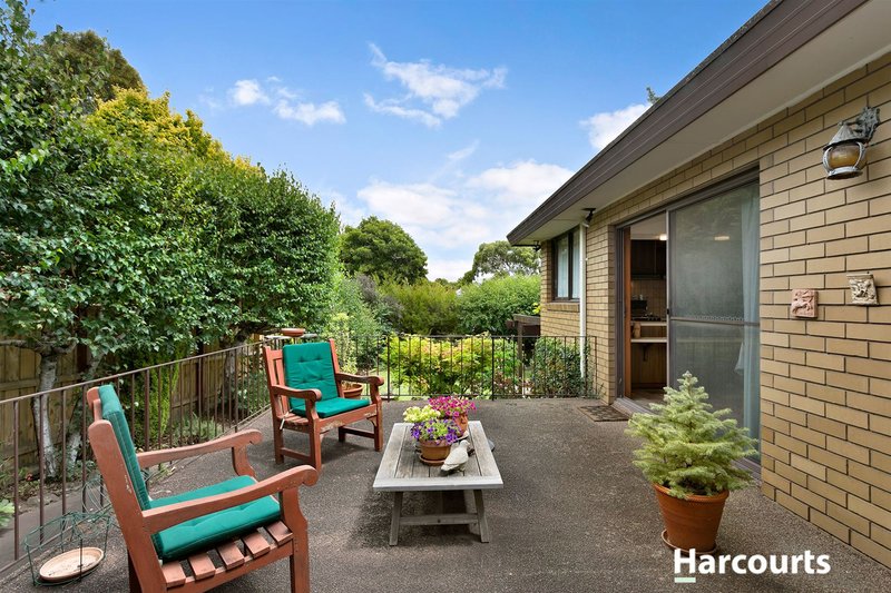 Photo - 15 Cratloe Road, Mount Waverley VIC 3149 - Image 7