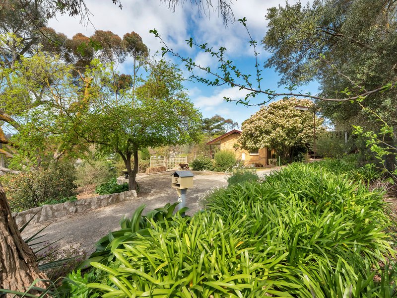 15 Dean Street, Angaston SA 5353