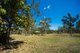 Photo - 1/5 Duell Road, Cannonvale QLD 4802 - Image 18