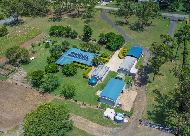 Photo - 15 Elm Road, Walloon QLD 4306 - Image 2