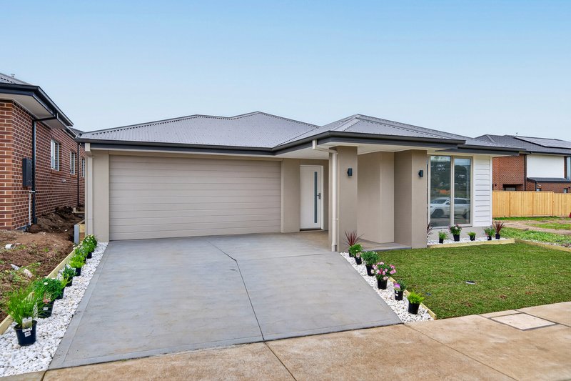 Photo - 15 Feathertail Grove, Officer VIC 3809 - Image 12
