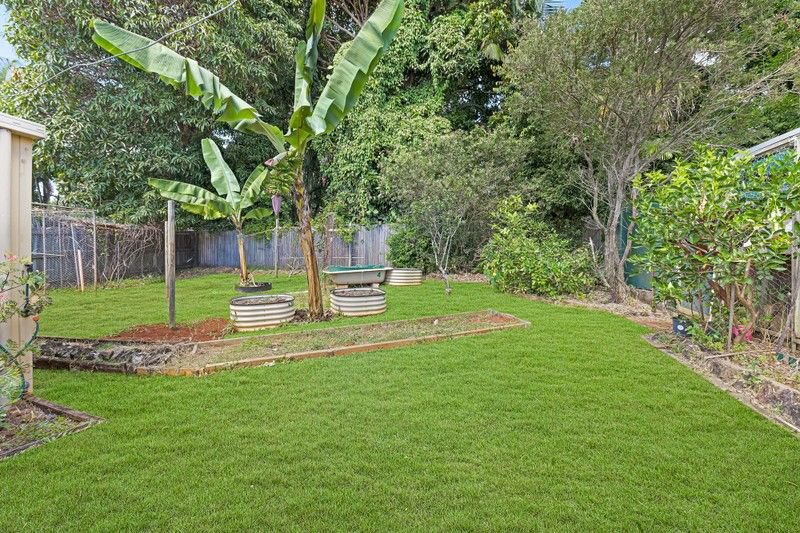 Photo - 15 Fielding Street, Buderim QLD 4556 - Image 13