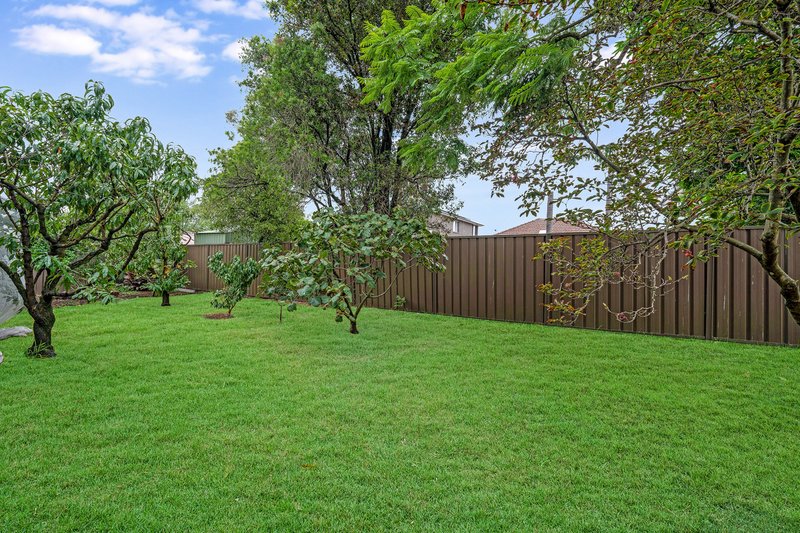 Photo - 15 Forshaw Avenue, Chester Hill NSW 2162 - Image 9