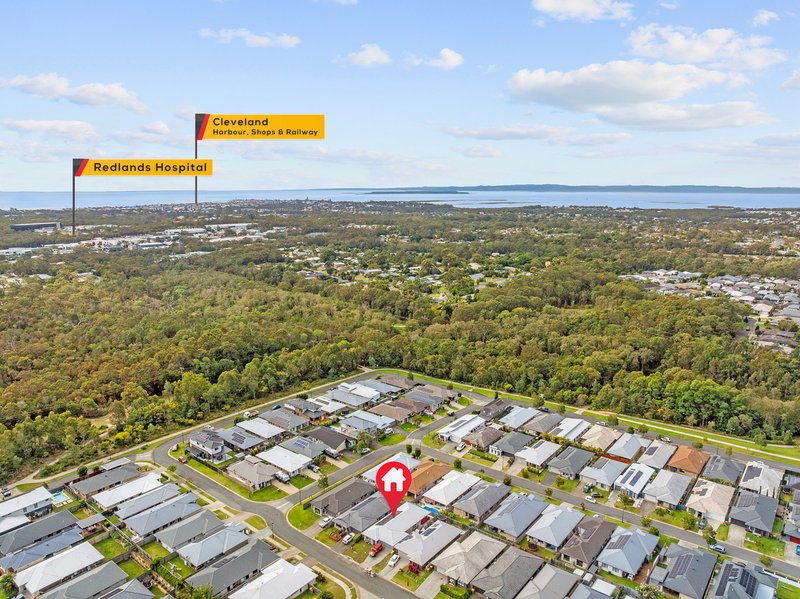 Photo - 15 Godfrey Street, Thornlands QLD 4164 - Image 13