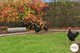 Photo - 15 Goldsmith Street, Lawitta TAS 7140 - Image 27