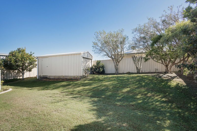 Photo - 15 Hallii Street, Ashfield QLD 4670 - Image 9