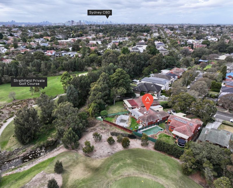 Photo - 15 Hedges Avenue, Strathfield NSW 2135 - Image 8