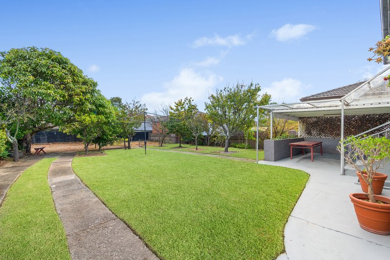 Photo - 15 Henderson Road, Bexley NSW 2207 - Image 7