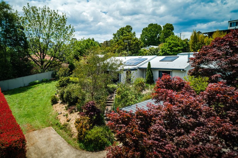 15 Hickory Street, Dorrigo NSW 2453