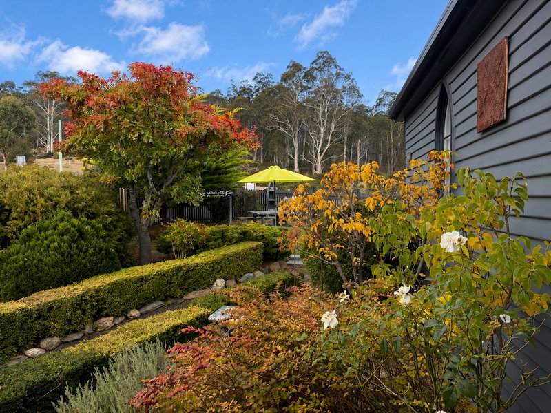 Photo - 15 Lee Street, Rossarden TAS 7213 - Image 5