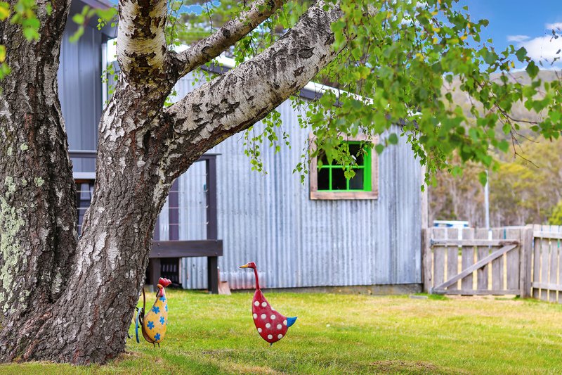 Photo - 15 Lee Street, Rossarden TAS 7213 - Image 31