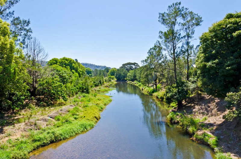 Photo - 15 Lemontree Lane, Currumbin Valley QLD 4223 - Image 9