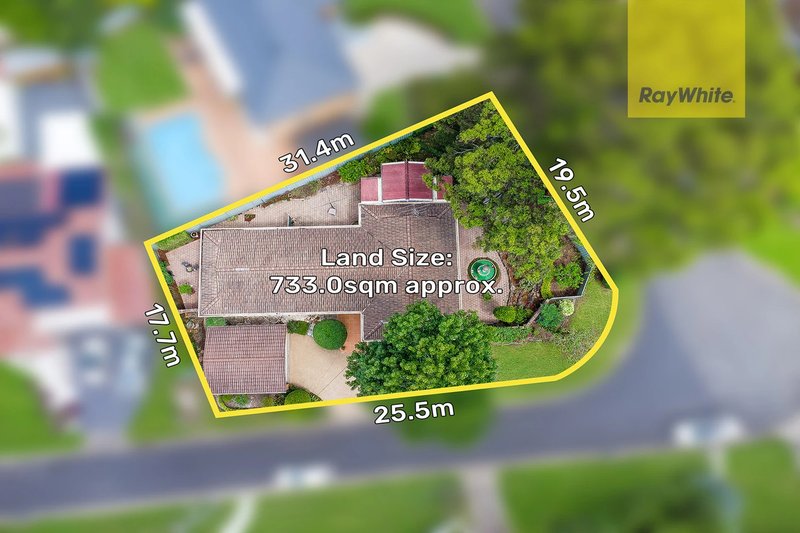 Photo - 15 Lennox Street, Northmead NSW 2152 - Image 12