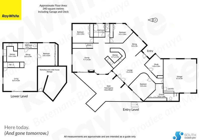 Photo - 15 Lewana Close, Lilli Pilli NSW 2536 - Image 29