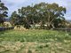 Photo - 15 Lockhart Street, Gagebrook TAS 7030 - Image 2