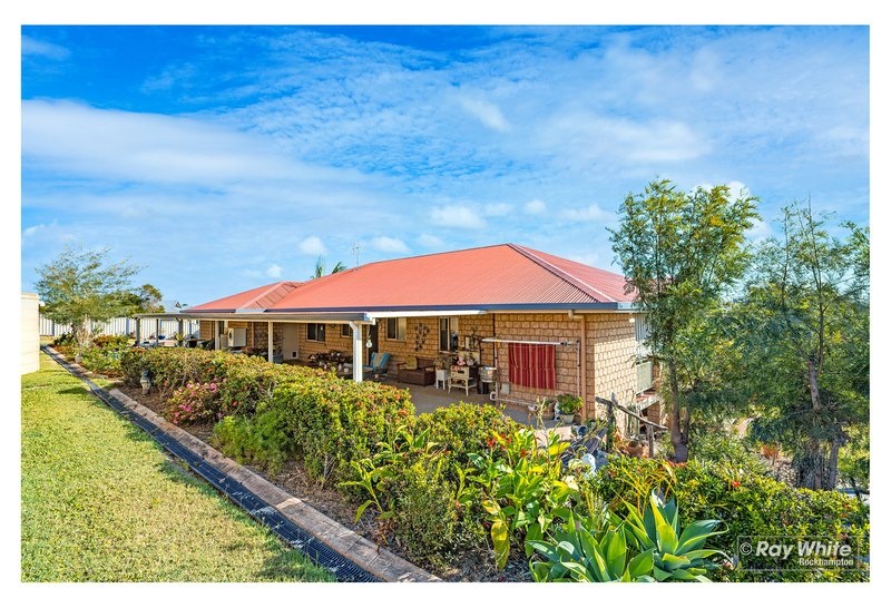 Photo - 15 Maddison Avenue, Rockyview QLD 4701 - Image 17