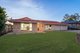 Photo - 15 Mareeba Court, Arana Hills QLD 4054 - Image 21