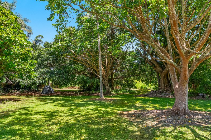 Photo - 15 Mcgettigans Lane, Ewingsdale NSW 2481 - Image 15