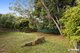 Photo - 15 Melinda Street, Kallangur QLD 4503 - Image 14