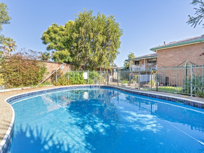 Photo - 15 Minnamurra Crescent, Hillvue NSW 2340 - Image 14