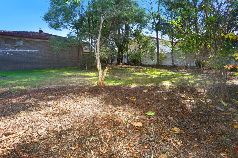 Photo - 15 Mitchell Avenue, Molendinar QLD 4214 - Image 18