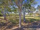 Photo - 15 Newport Circuit, Sandstone Point QLD 4511 - Image 16