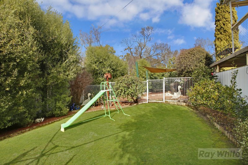 Photo - 15 Newton Street, Goulburn NSW 2580 - Image 4