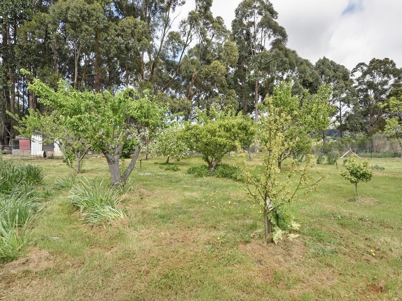 Photo - 15 North Street, Port Arthur TAS 7182 - Image 14