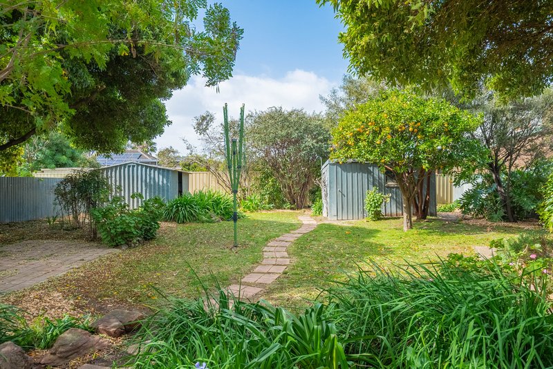 Photo - 15 Park Terrace, Plympton Park SA 5038 - Image 12