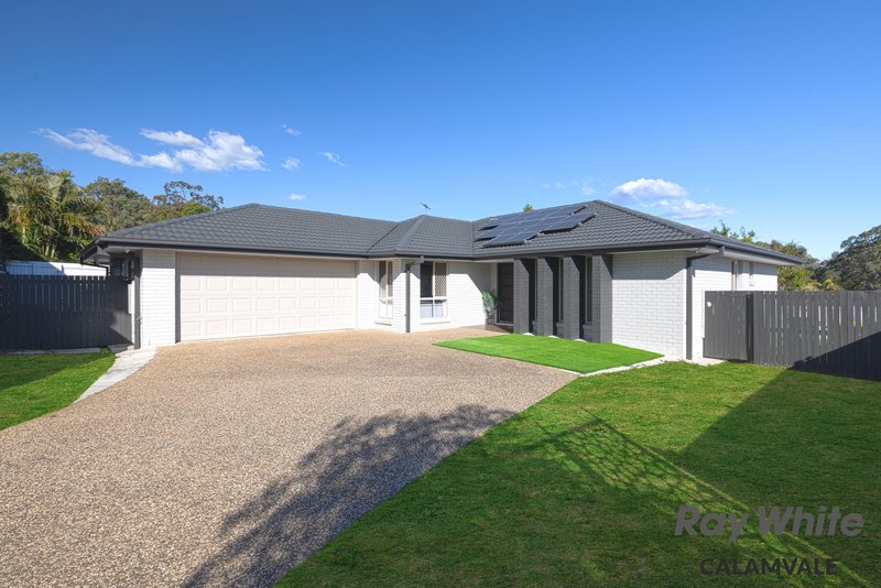 15 Pelsart Place, Drewvale QLD 4116