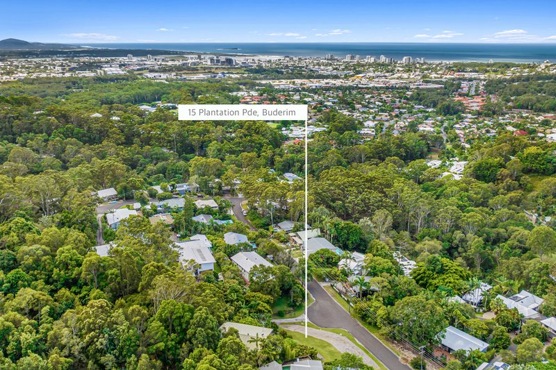 Photo - 15 Plantation Parade, Buderim QLD 4556 - Image 5