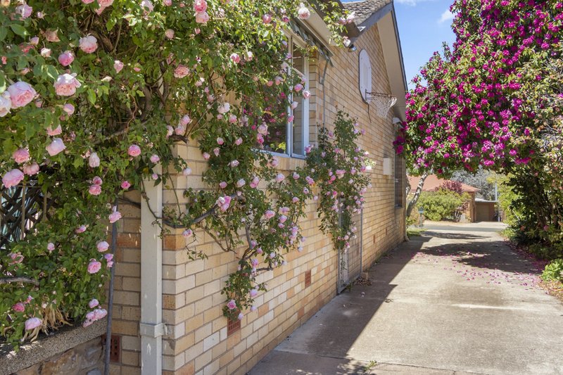 Photo - 15 Pope Street, Hughes ACT 2605 - Image 21