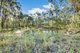 Photo - 15 Rogers Road, Boyne Island QLD 4680 - Image 19