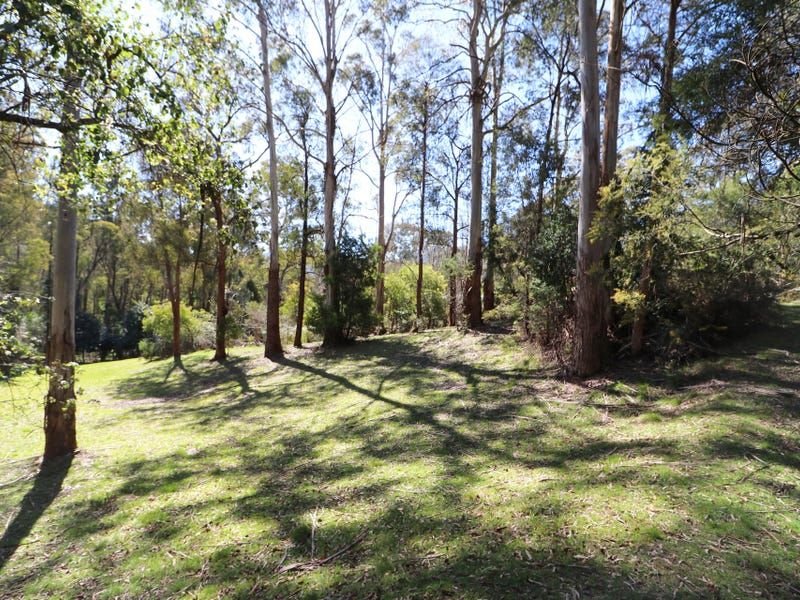 Photo - 15 Rosella Street, Sawmill Settlement VIC 3723 - Image 3