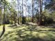 Photo - 15 Rosella Street, Sawmill Settlement VIC 3723 - Image 3