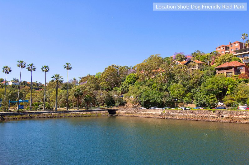 Photo - 15 Royalist Road, Mosman NSW 2088 - Image 12