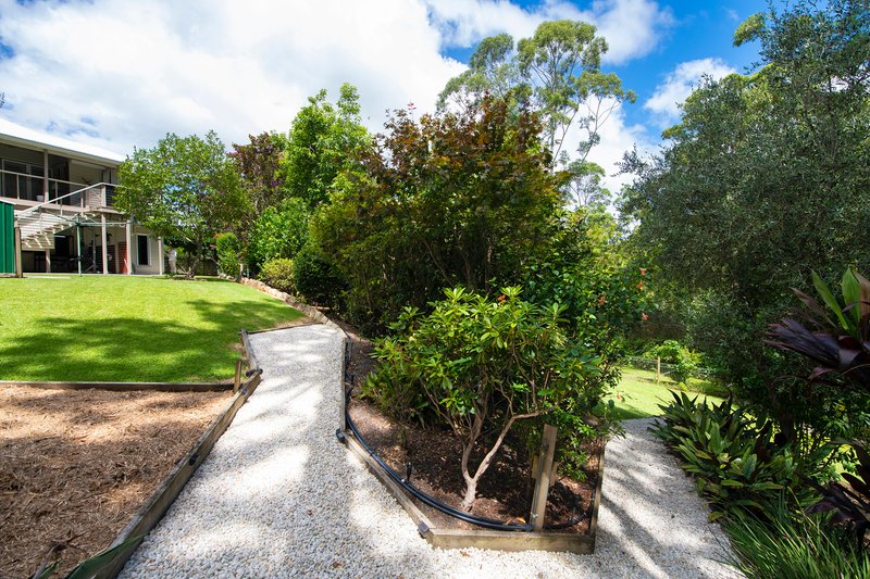 Photo - 15 Saguaro Court, Tamborine Mountain QLD 4272 - Image 34