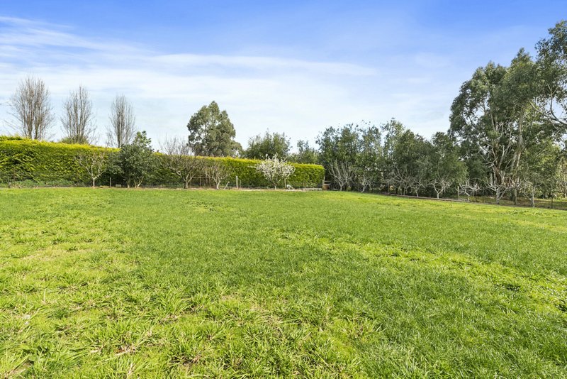 Photo - 15 Sebire Avenue, Wandin North VIC 3139 - Image 22