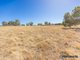 Photo - 15 Shady Hills View, Bullsbrook WA 6084 - Image 2