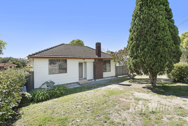 Photo - 15 Shelley Street, Toronto NSW 2283 - Image 4